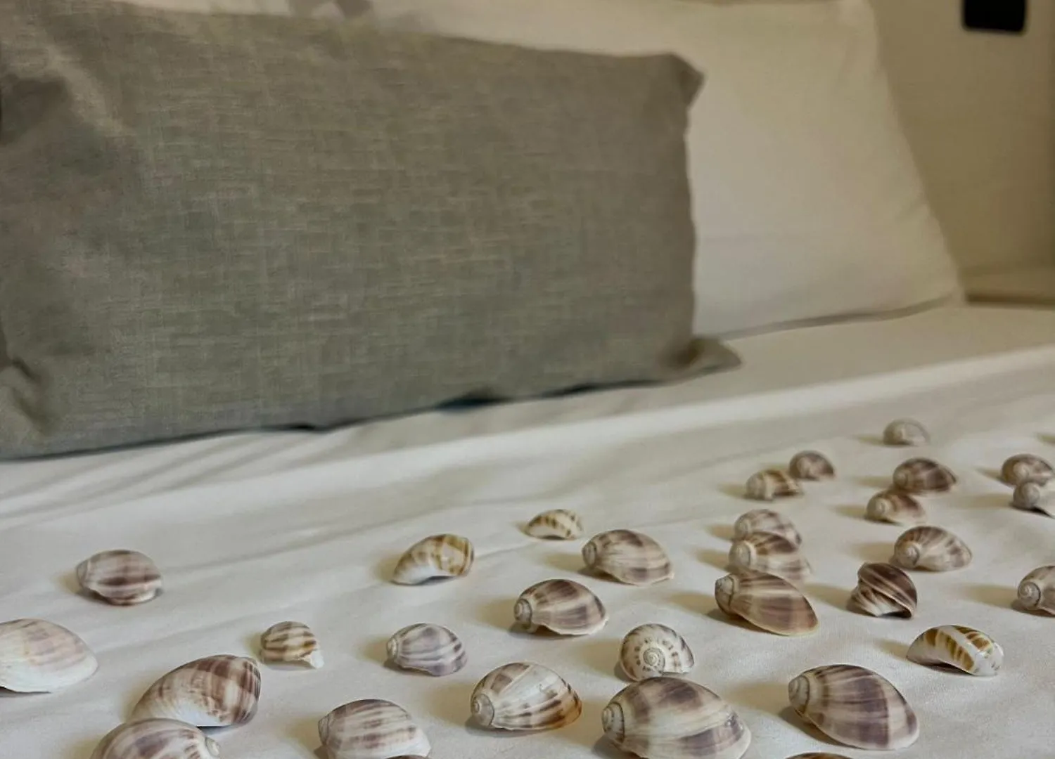 Hotel Margherita Rimini Włochy